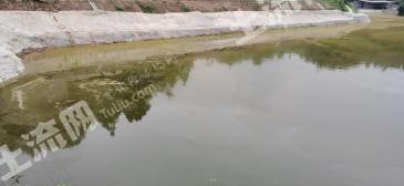 达州大竹县72.9亩坑塘 经营权转让