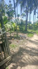 海南陵水黎族自治縣1900平方米農(nóng)村宅基地使用權(quán)合作