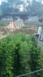 十堰茅箭区300平米农村宅基地使用权出租