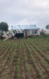 松原前郭尔罗斯蒙古族自治县1000平米农村宅基地使用权出租