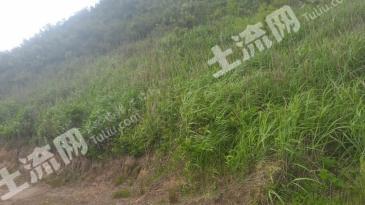 郴州桂阳县 474.07亩 荒山 使用权出租
