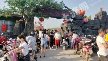 邯郸邯山区 100亩 其它园地 经营权合作