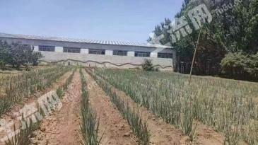 河北廊坊 785.49亩 空闲用地 出租