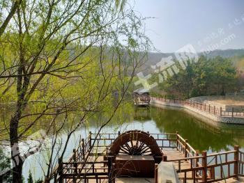 烟台烟台经济技术开发区 680亩 果园 经营权出租