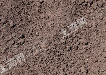 绍兴柯桥区 12亩 旱地 经营权出租