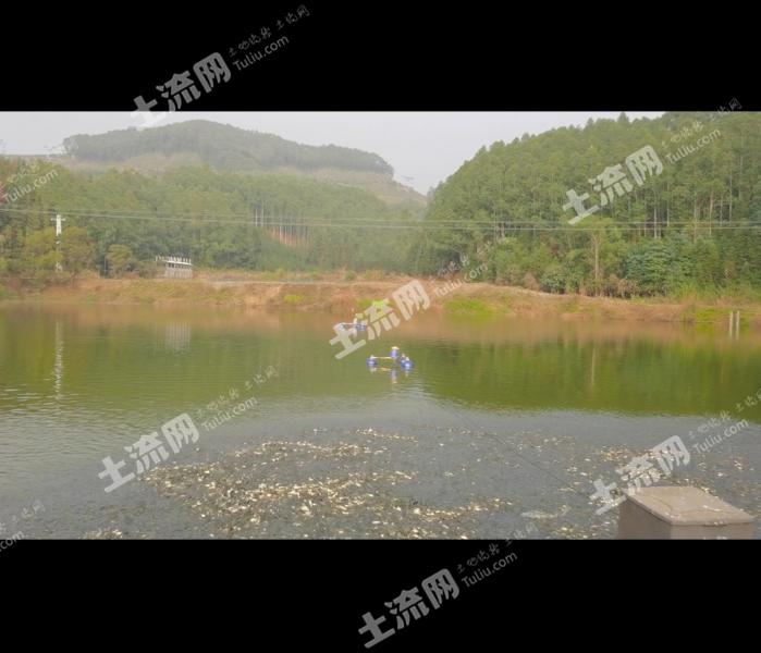 漳州长泰县 162.13亩 坑塘水面 经营权出租