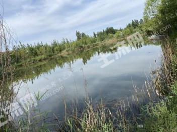 济南天桥区 40亩 坑塘水面 经营权转让