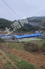 毕节赫章县30亩畜牧养殖用地经营权出租