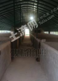 菏泽东明县 53.15亩 人工牧草地 经营权出租