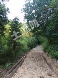 绍兴诸暨市 100亩 农场 使用权出租