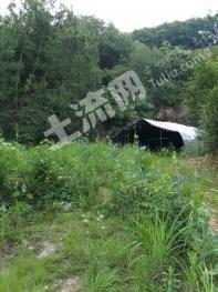 绍兴诸暨市 50亩 有林地 经营权出租