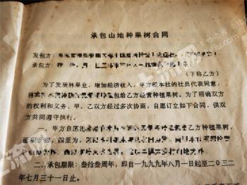 玉林福绵区 8亩 果园（荔枝） 经营权转包