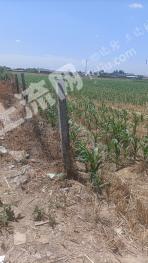 石家庄栾城区 3亩 水田 经营权转让