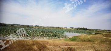 安徽安庆宿松县 114.85亩 水库经营权转让