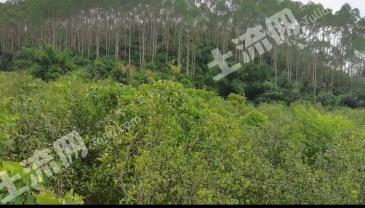 肇庆怀集县24亩荒地经营权转让