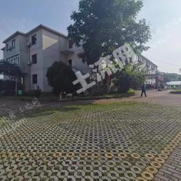 金华婺城区 1000亩 农场 使用权转让