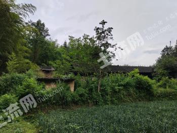 恩施咸丰县 800平方米 农家庭院 使用权出租