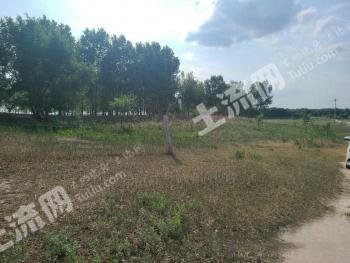 大庆杜尔伯特蒙古族自治县 120亩 荒山 先开发后利用