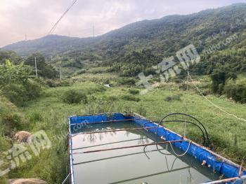 福州闽侯县 15亩 水田 经营权出租