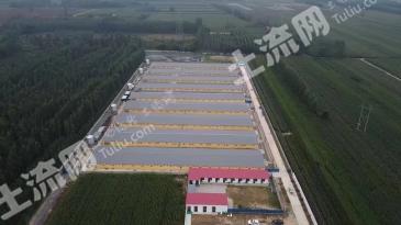 邢台宁晋县 71.22亩 设施农用地 经营权出租