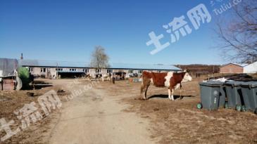 鹤岗工农区 15亩 设施农用地 经营权转让