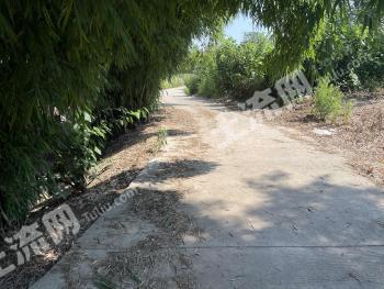 绵阳涪城区 300平方米 农村宅基地 使用权出租