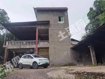 泸州合江县 50.67亩 农场 使用权出租