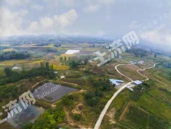 南阳桐柏县 120亩 其它园地 经营权转包