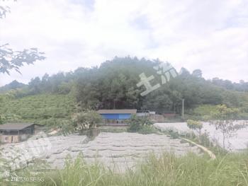 黔东南凯里市 44.45亩 旱地 经营权出租