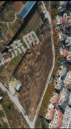 青岛城阳区 10亩 其它草地 使用权出租