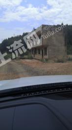 曲靖马龙区 1100亩 灌木林地 经营权出租