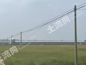 朔州怀仁市 102.5亩 农场 使用权转让