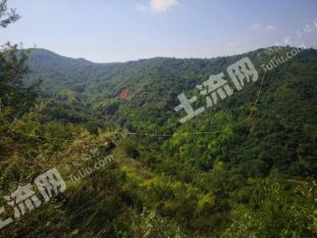 宝鸡麟游县 2100亩 乔木林地 经营权转让