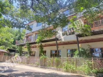 株洲荷塘区 3亩 农村宅基地 使用权出租