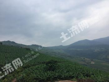 玉溪新平彝族傣族自治县 1677.96亩 水浇地 经营权出租