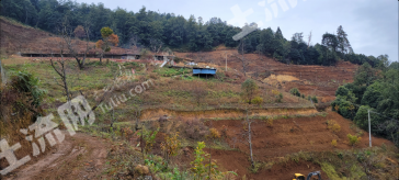 凉山盐源县 100.53亩 果园 经营权出租