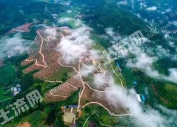 河池巴马瑶族自治县 1200亩 农场 使用权出租