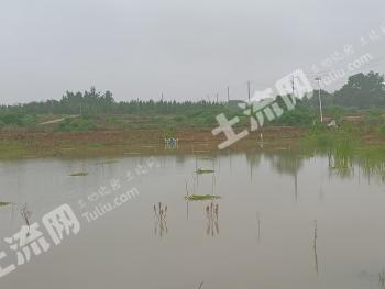 滁州全椒县 120亩 水田 经营权出租