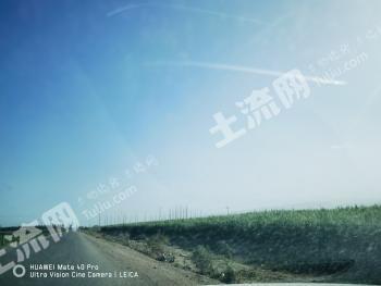 巴音郭楞焉耆回族自治县 842亩 灌木林地 经营权转让