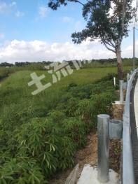 珠海金湾区 5亩 旱地 经营权出租