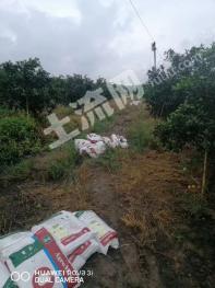 资阳乐至县50亩旱地经营权转包