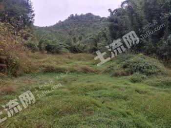 广东肇庆怀集县 10亩 其它草地 使用权出租