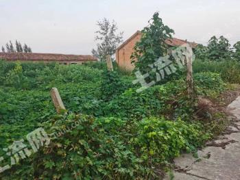 菏泽巨野县 13186平方米 厂房 使用权出租