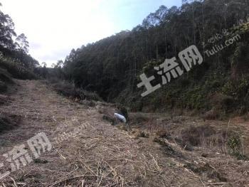 肇庆广宁县 30亩 农场 使用权转让