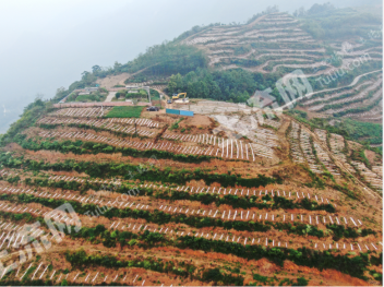 乐山峨边彝族自治县 182.77亩 其它林地 经营权出租