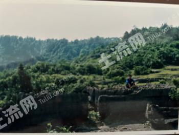重庆南川区5000亩灌木林地经营权出租