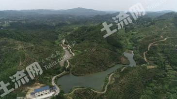 怀化中方县 411亩 乔木林地 经营权转让