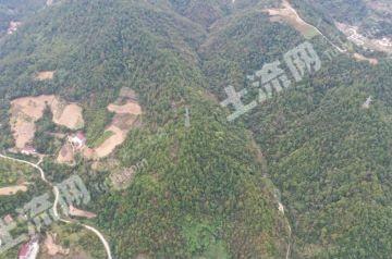 十堰房县 20000亩 灌木林地 经营权出租