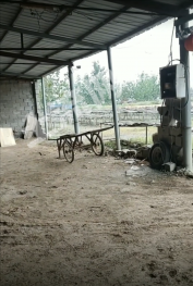 宿迁宿城区 360平方米 厂房 使用权出租