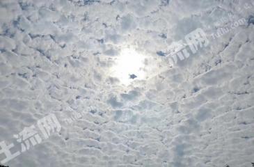 德州平原县 51.67亩 设施农用地 经营权出租